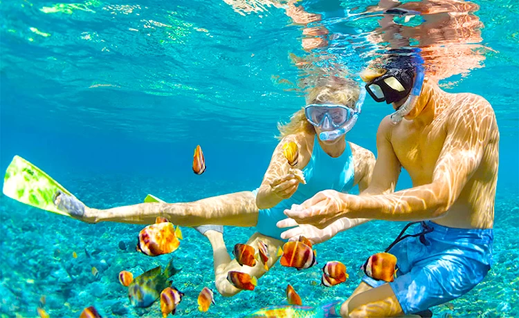 NTPQ 04 | Fishing And Snorkeling Tour – 01 Day